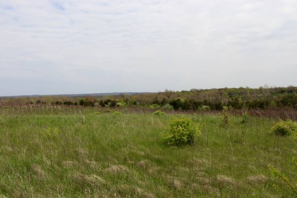 istock Green Grass Country Field 1402144984