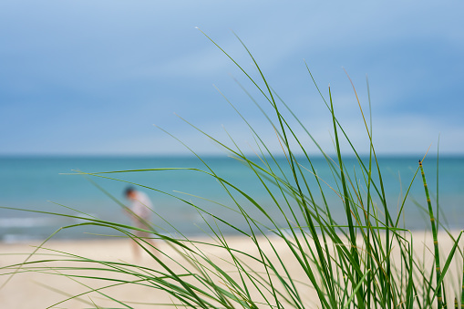 A person in the distance is captured  through the dune grass while walking along the coast of Lake Michigan in Indiana Dunes National Park, Indiana, USA.