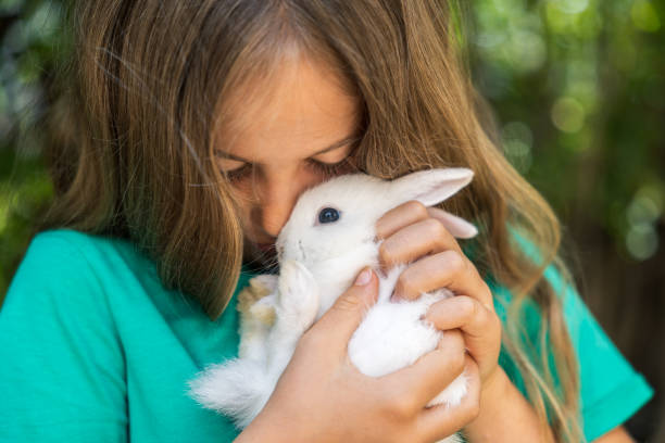 istock Girl with white rabbit in hands 1402147593
