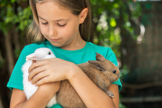 istock Girl with rabbit in hands 1402147623