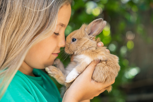 Girl with cute little bunny rabbit in hands