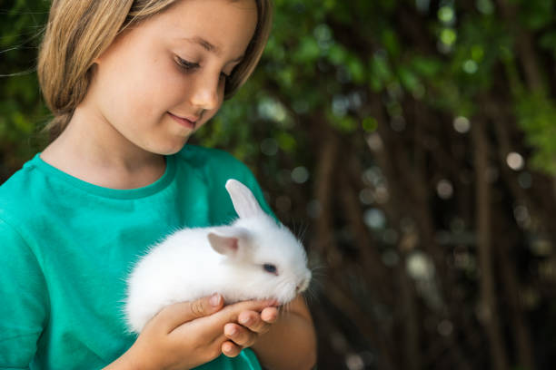 istock Girl with white rabbit in hands 1402147661