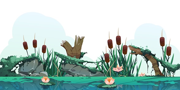Swamp reed illustration. Cartoon marsh background with cattail plants, moss rocks and log, countryside wetland or lake. Vector illustration. Pond or rover with seasonal nature scene
