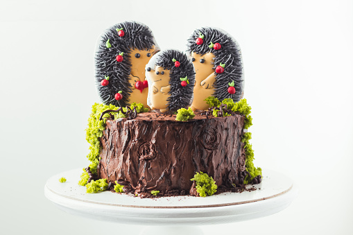 Birthday forest cake covered with rustic brown cream cheese frosting with gingerbread cookies in the shape of hedgehog family