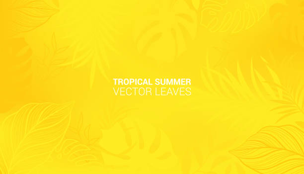 heiße gelbe sommer tropical blätter. monstera und palmblatt. tropische grenze. vektor-illustration - yellow background stock-grafiken, -clipart, -cartoons und -symbole