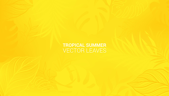 Hot yellow Summer Tropical Leaves. Monstera and palm leaf. Tropic border. Vector illustration