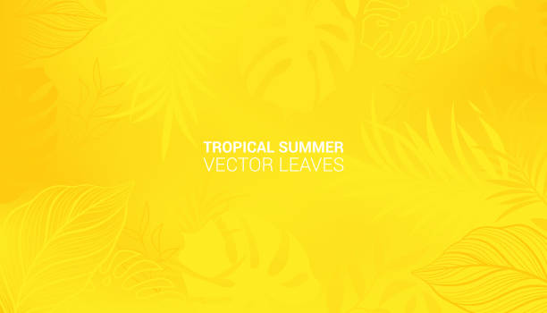 Hot yellow Summer Tropical Leaves. Monstera and palm leaf. Tropic border. Vector illustration Hot yellow Summer Tropical Leaves. Monstera and palm leaf. Tropic border. Vector illustration yellow background pattern stock illustrations