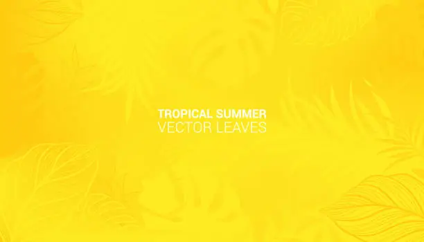 Vector illustration of Hot yellow Summer Tropical Leaves. Monstera and palm leaf. Tropic border. Vector illustration