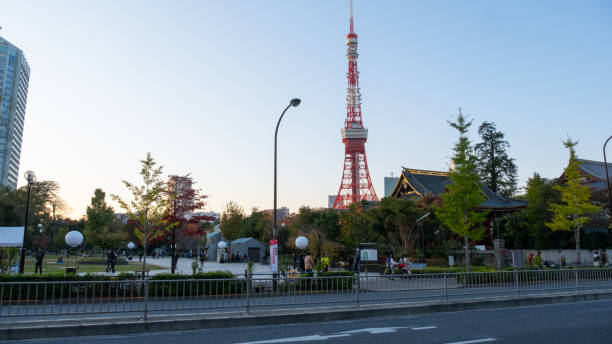 istock Beautiful view of Tokyo at park. 1402151496