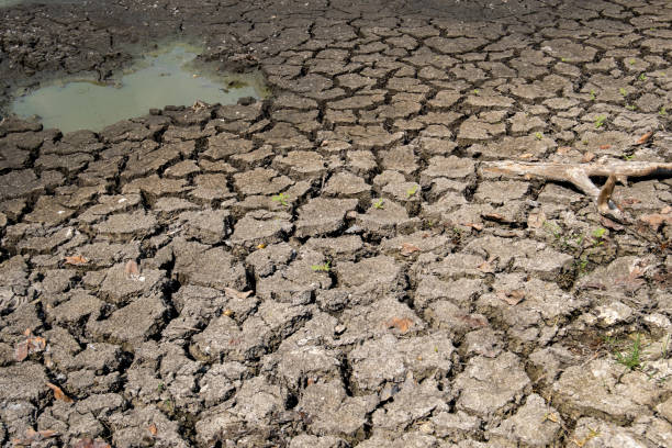istock When the dry season comes again. 1402152633