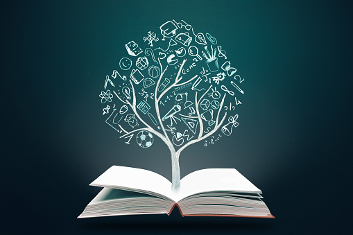 Education concept. Open books and knowladge tree with hand drawn school doodle icons. Studying, knowledge, learning idea.