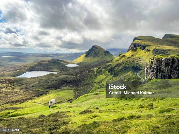 Scottish Highlands Landscape Stock Photo - Download Image Now - Sheep, Landscape - Scenery, UK