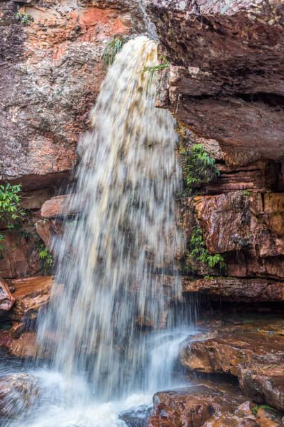 istock Primavera waterfall at Chapada Diamantina 1402158250