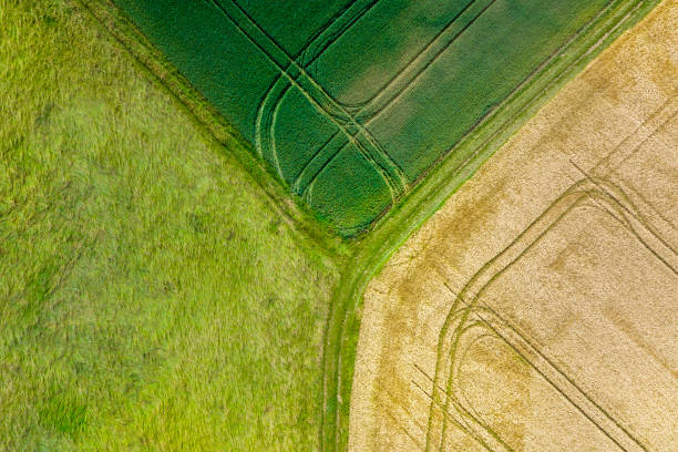 istock Agricultural fields - abstract aerial view 1402158624