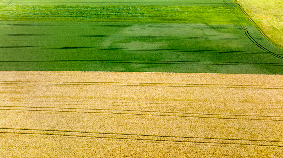 Agricultural fields - abstract aerial view
