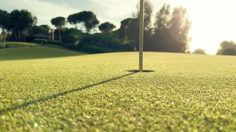 Golf ball rolling into hole on green grass of a golf course