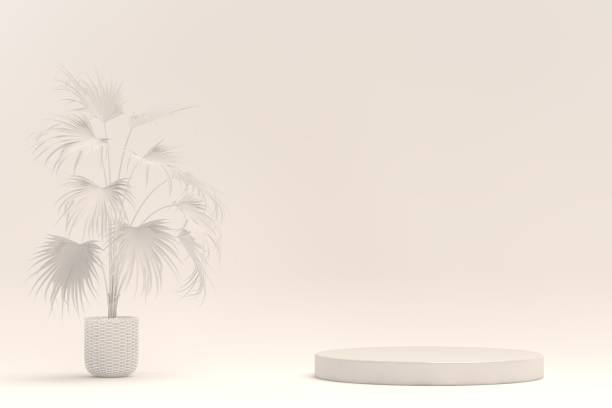 istock Empty stand for product presentation with potted plant 1402165936
