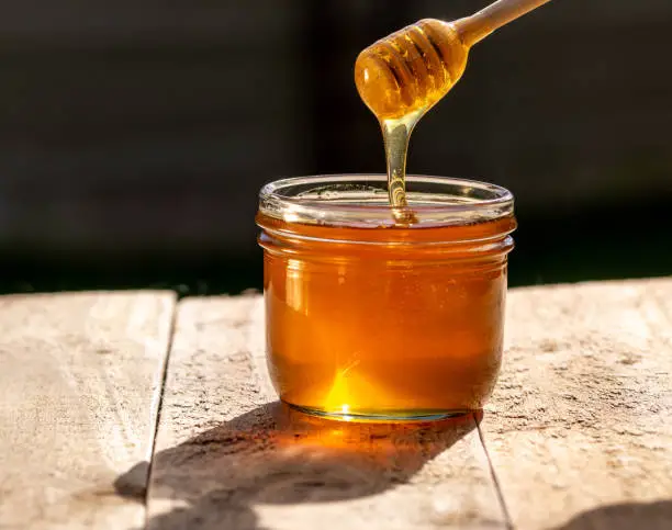 honey dripping from honey dipper into glass jar.