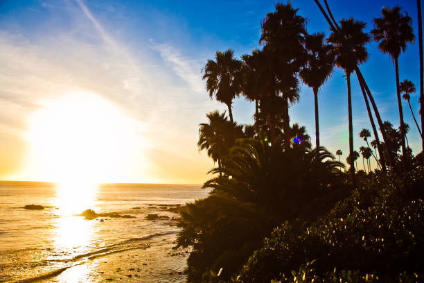 istock Newport Beach at sunset 1402170778