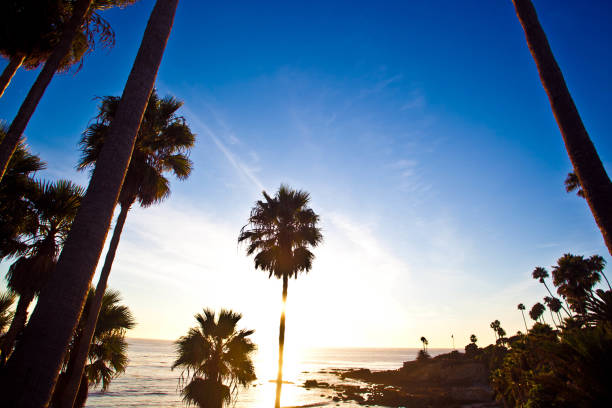 istock Newport Beach at sunset 1402170822