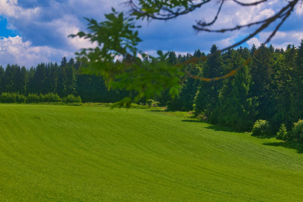 istock Summer impressions from the Thuringian Forest 1402171842