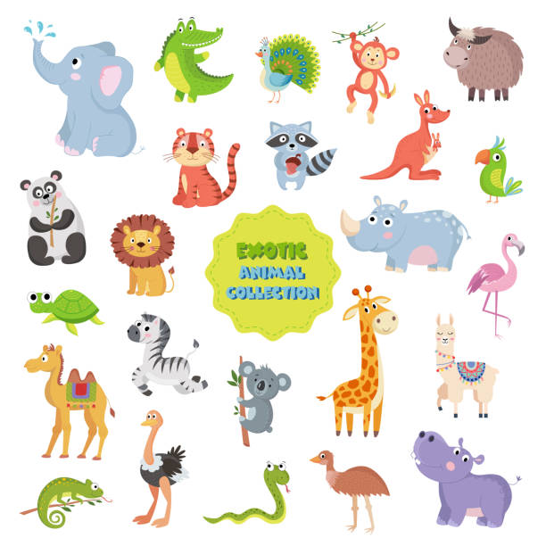 Big collection of cute cartoon animals from different continents: Forest,Australian, African ,South american animals,Ocean animals and Asian animals.Vector illustration isolated on white Big collection of cute cartoon animals from different continents: Forest,Australian, African ,South american animals,Ocean animals and Asian animals.Vector illustration isolated on white marsupial stock illustrations