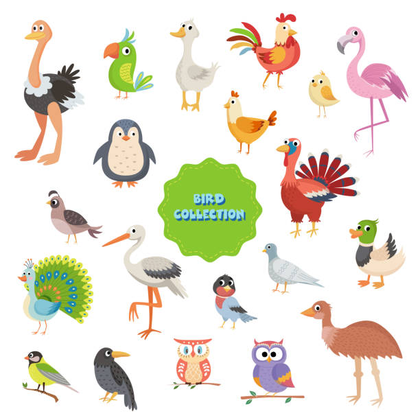 istock Big icon set of cute cartoon birds from around the world.Vector illustration isolated on white background 1402179708