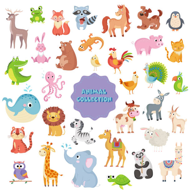 ilustrações de stock, clip art, desenhos animados e ícones de big collection of cute vector animals on white background - elephant water vector animals in the wild