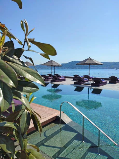 istock Deck chairs on Wooden plank floor against swimming pool 1402182971