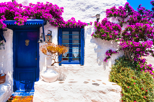 Encantadoras calles florales típicas de las islas griegas con casas encaladas y puertas azules photo