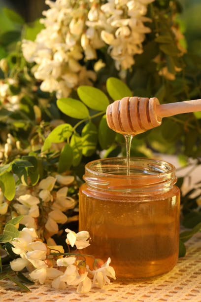 istock Jar of honey with white acacia blossom 1402187271