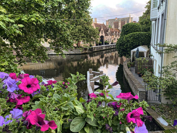 istock Flowers of Bruges 1402188370