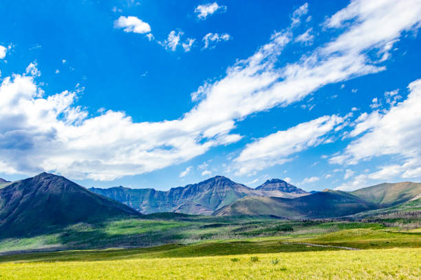 istock Bison Loop Waterton Lakes National Park Alberta Canada 1402189486