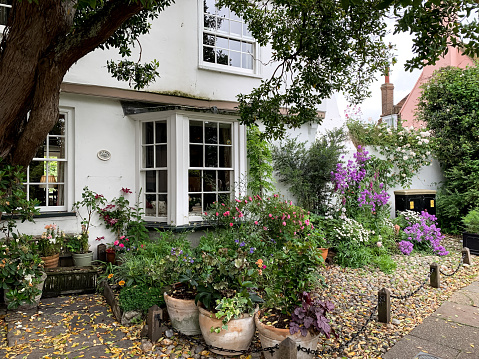 Front garden, blossoming flowers, white house. English garden . UK, England, United Kingdom. Charming medieval town. Architecture, cozy popular touristic destination. White red blossoming rose bush. Old cozy medieval tudor half-timbered house cottage. Summer in Rye