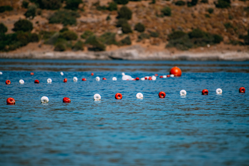 Buoys Marking Swimming Limits on the Beach