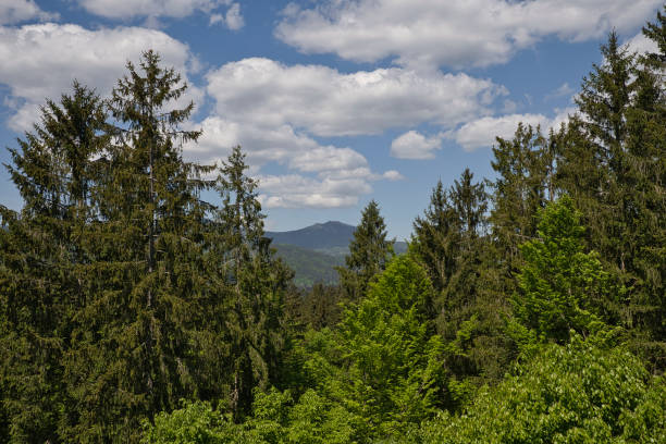 вид на большой арбер в баварском лесу - radar dome mountain range mountain hill стоковые фото и изображения