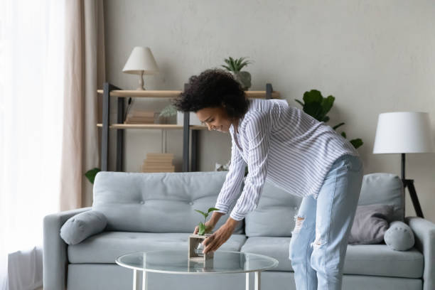Happy young African American housewife improving interior. Smiling beautiful young African American housewife putting green plant in vase, cleaning apartment, arranging stuff in cozy modern living room, feeling satisfied with making comfort tidy house. neat home stock pictures, royalty-free photos & images