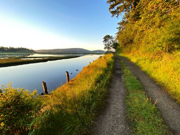 istock The San Juan Islands 1402197014