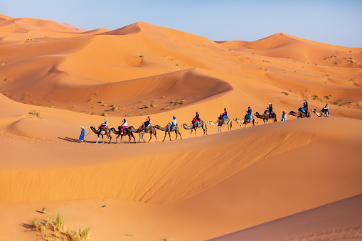Sand dunes in the desert, Merzouga, Erg Chebbi sand dunes region, Sahara, Morocco.