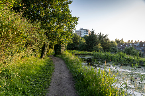 Greenery path for walkers along a river in north London.