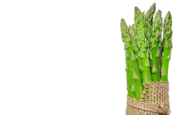 Tied fresh green bunch of asparagus on background