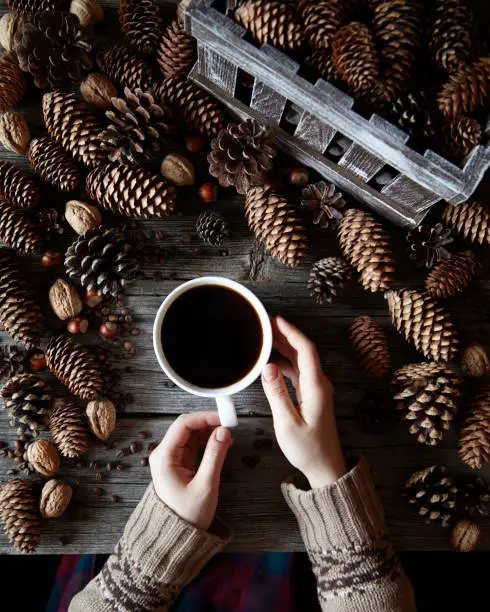 Winter background with a collection of cones. A mug of coffee in a woman's hands in a sweater on the wooden table with pine and fir cones collection. Flat lay instagram fashion drink composition.