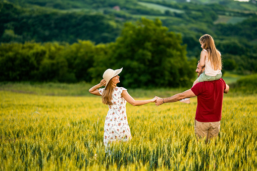 Playful parents having fun with their little girl while walking on a golden field during sunset.