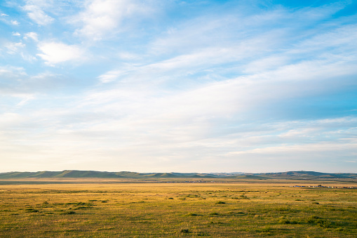 Autumn steppe field yellow grass natural landcape view