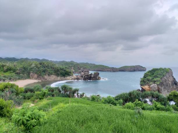 istock Beautiful hill grass and sea 1402212871
