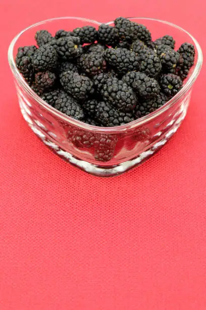 A group of healthy raw organic blackberries close-up in a clear glass heart shaped dish. Twelve ounces of raw organic blackberries close-up in a clear glass heart shaped dish on a red background.