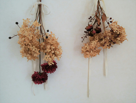 dried roses and hydrangeas on the wall