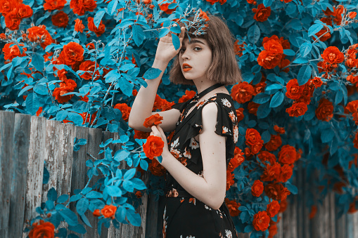 Redhead model on background of roses bush. Fabulous asian girl with red lips in dress on awesome summer background. Rose garden. Woman portrait. Blue toning. Cyan color. Spring flowers. Bob hairstyle