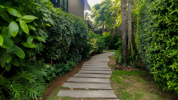 istock Thailand, Garden Path, Color Image, Copy Space, Day 1402222585