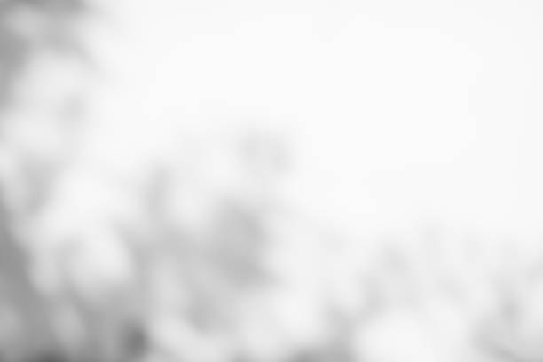 istock Blur Gray cement shadow leaves background 1402227180